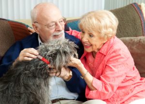 Will your pet be welcome or restricted in your retirement community? Contact BayWoods for a Pet Friendly Retirement Community.