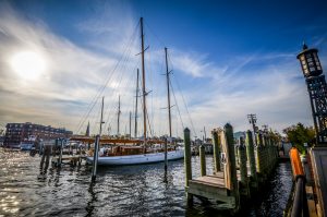 Looking for a place to retire? Annapolis is a fantastic choice. Here’s why… For more info on why you should retire in Annapolis, contact BayWoods today.